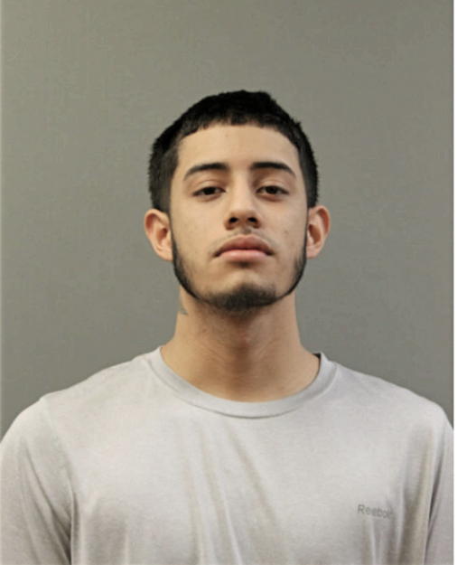 JAVIER SOTO-CORONA, Cook County, Illinois