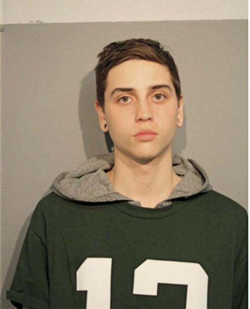 BRANDON D STAMMER, Cook County, Illinois