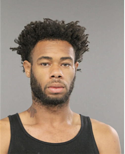 ANTWON D WEBSTER, Cook County, Illinois