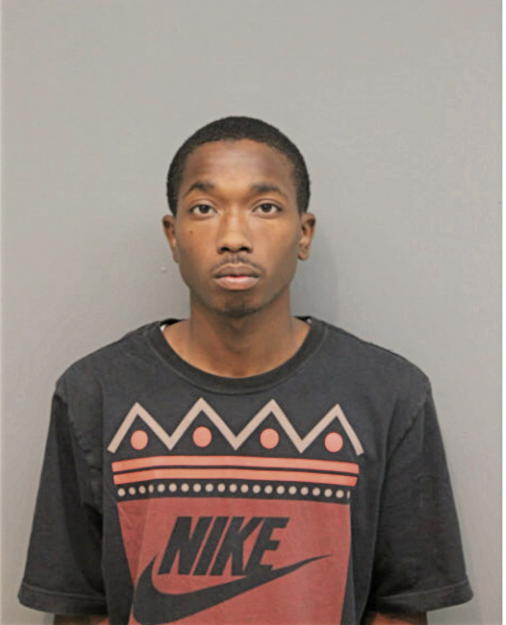 SEAN J WHITE, Cook County, Illinois