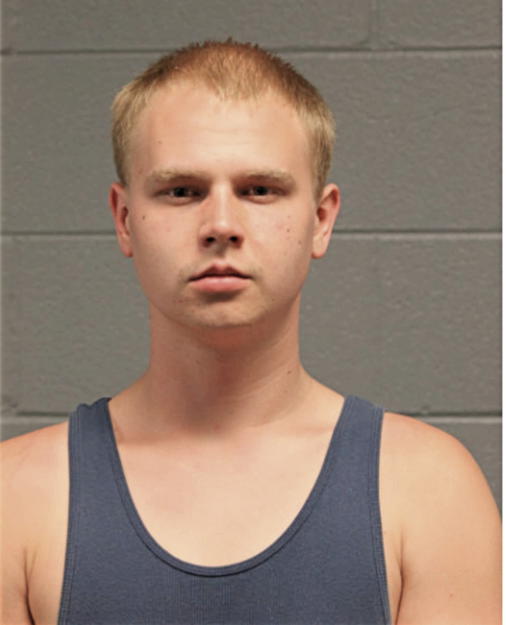 MICHAEL L ASHCRAFT, Cook County, Illinois