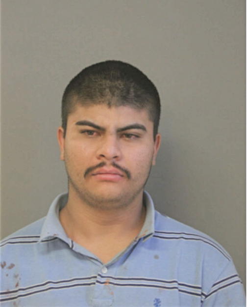 SAUL E AVILA, Cook County, Illinois