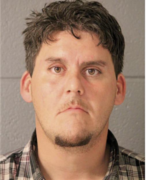 ROBERT C BROWN, Cook County, Illinois