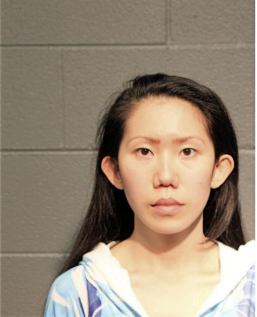 NAGYI CHENG, Cook County, Illinois