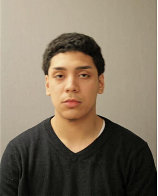 JESUS D CORTEZ, Cook County, Illinois