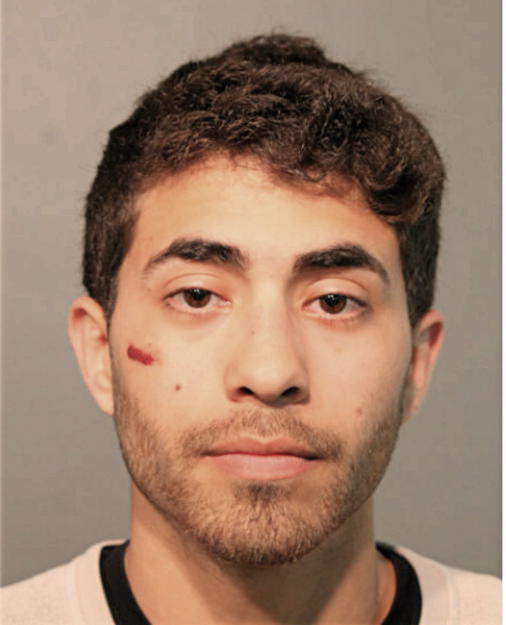 OMAR ESTRADA, Cook County, Illinois