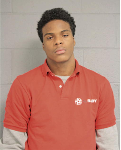 LORENZO L FULTZ, Cook County, Illinois