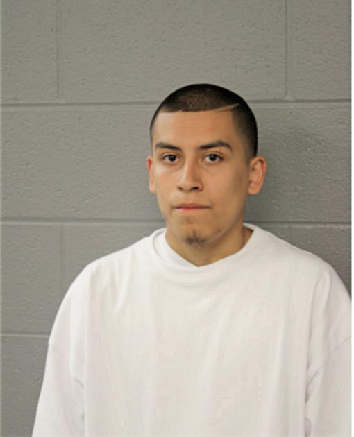 GIOVANI GALVAN, Cook County, Illinois