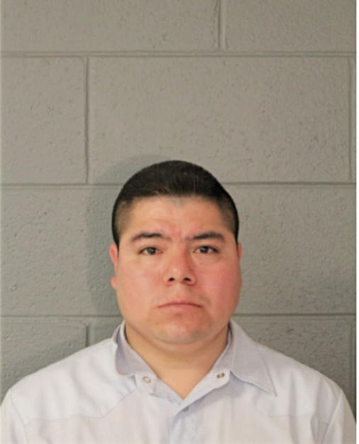 SERVANDO GARCIA, Cook County, Illinois