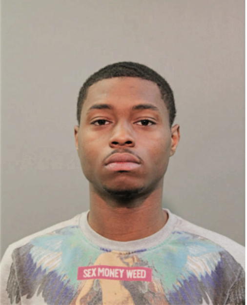 TYSHAWN J HOLLINS, Cook County, Illinois