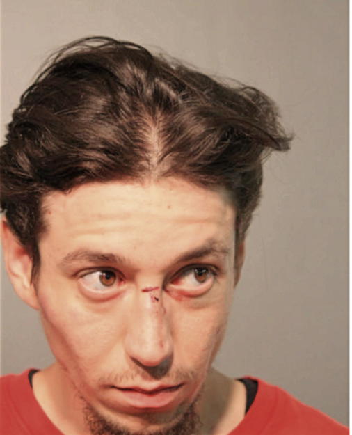 EMMANUEL SANCHEZ IBARRA, Cook County, Illinois