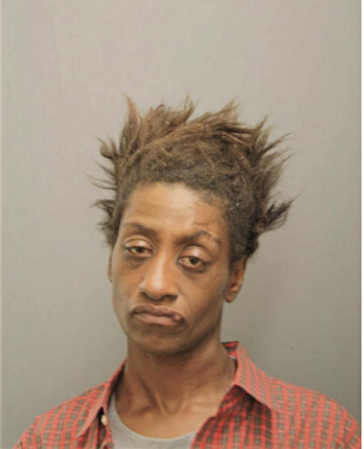 NINA JOHNSON, Cook County, Illinois