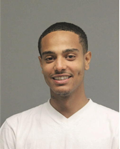 MICHAEL K WILLIAMS, Cook County, Illinois