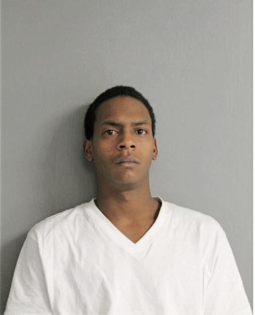 DAVID S LOLLES, Cook County, Illinois