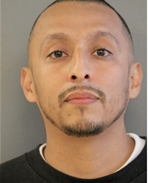 RICARDO MOLINA, Cook County, Illinois