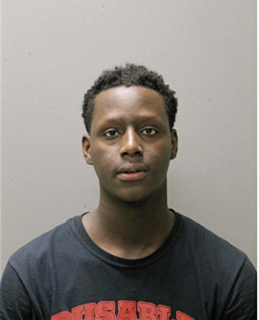 ANDREW NESBIT, Cook County, Illinois
