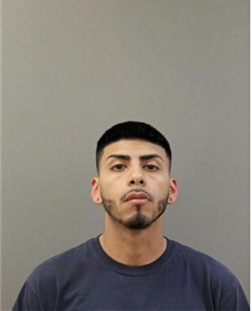 GIOVANNY M PINEDA, Cook County, Illinois