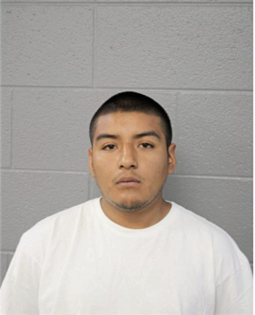 THOMAS A SALGADO, Cook County, Illinois