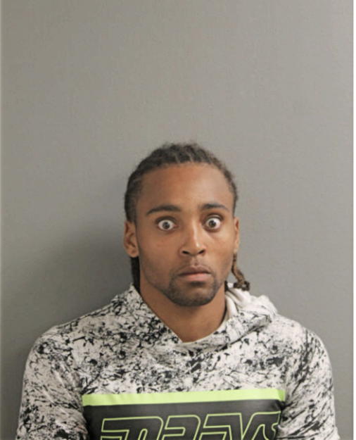 CHARLES A WHITEHEAD, Cook County, Illinois