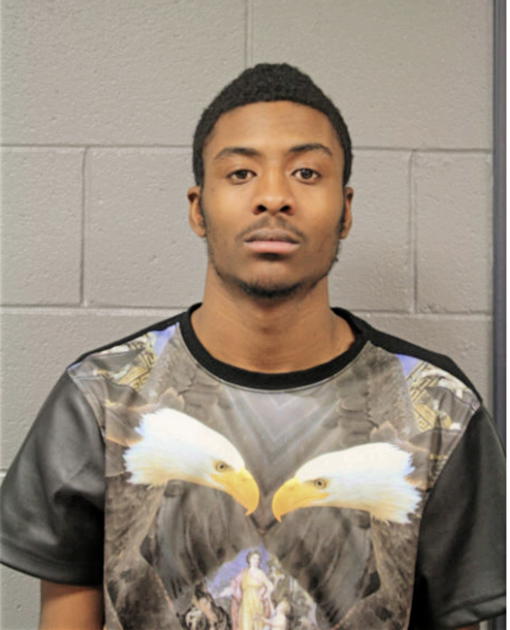 DAVID J BEAL, Cook County, Illinois