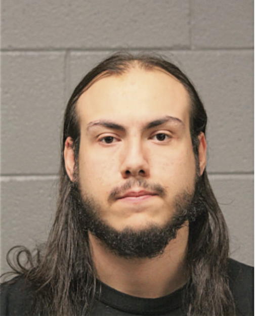 LUIS ENRIQUE CARLO, Cook County, Illinois