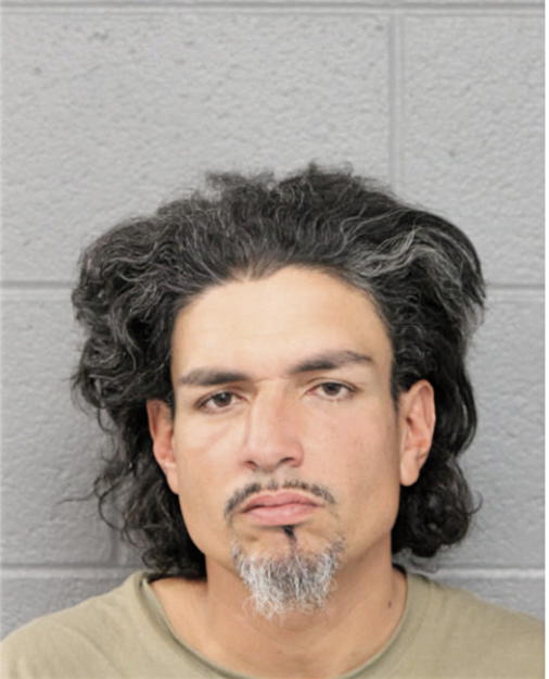 JUAN CARLOS BORGES, Cook County, Illinois