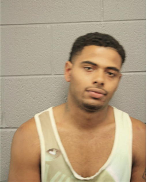 DERRICK D DIXON, Cook County, Illinois
