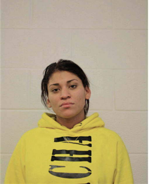 GREYSI G ESTRADA, Cook County, Illinois