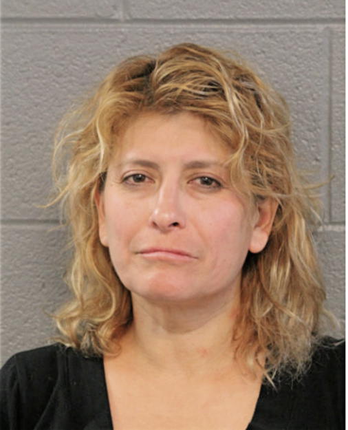 ROSA L GOMEZ, Cook County, Illinois