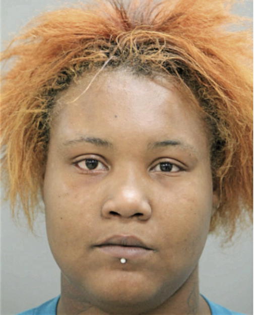 SHERRY N HARRIS, Cook County, Illinois