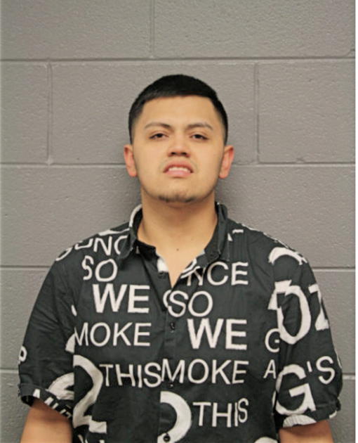 ALEJANDRO HERNANDEZ, Cook County, Illinois