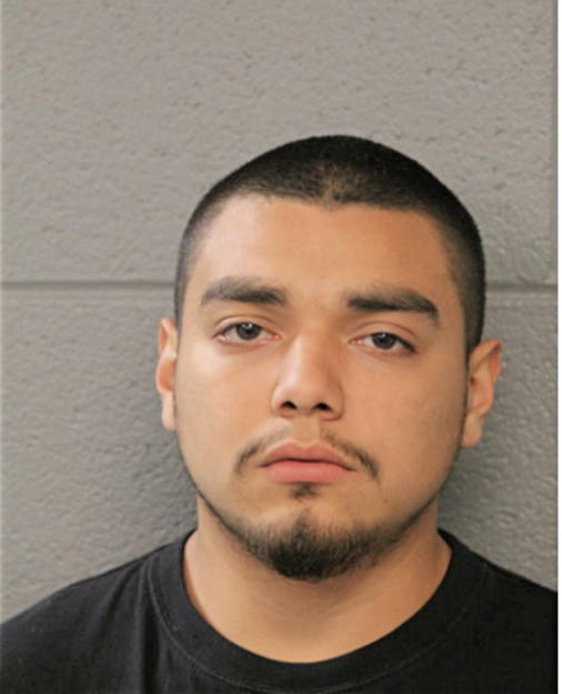 LUIS LEON, Cook County, Illinois