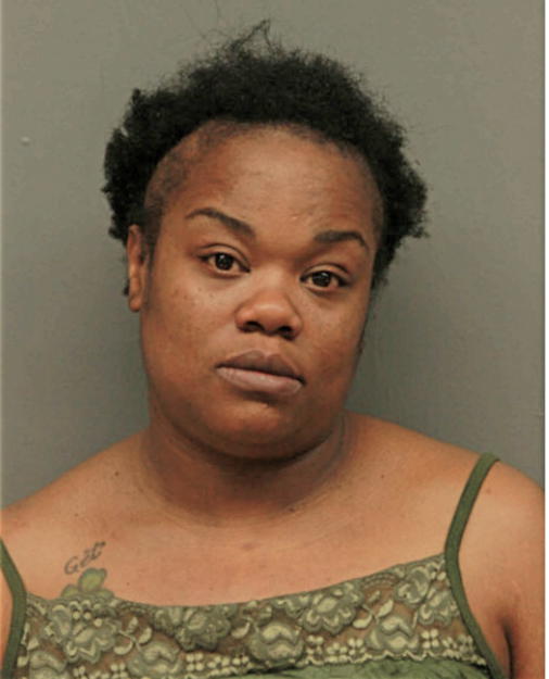 ERICKA M MCSHANE, Cook County, Illinois