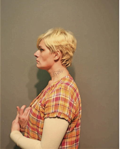 PATRICIA E NUNLEY, Cook County, Illinois
