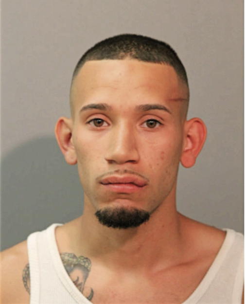 DOEL JOSE PIZARRO, Cook County, Illinois