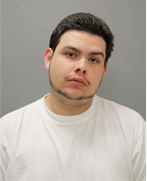 LUIS ENRIQUE REYES, Cook County, Illinois