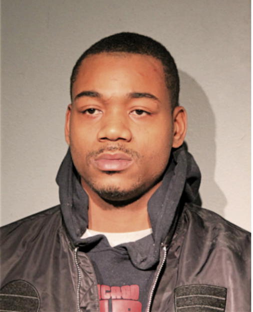 SEMIONE S ROBINSON, Cook County, Illinois