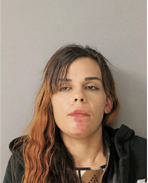 ERICA A ROSALES, Cook County, Illinois
