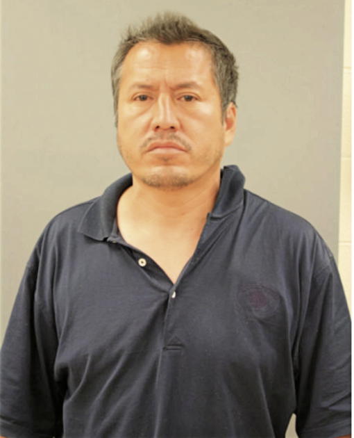CARLOS SOTELO, Cook County, Illinois