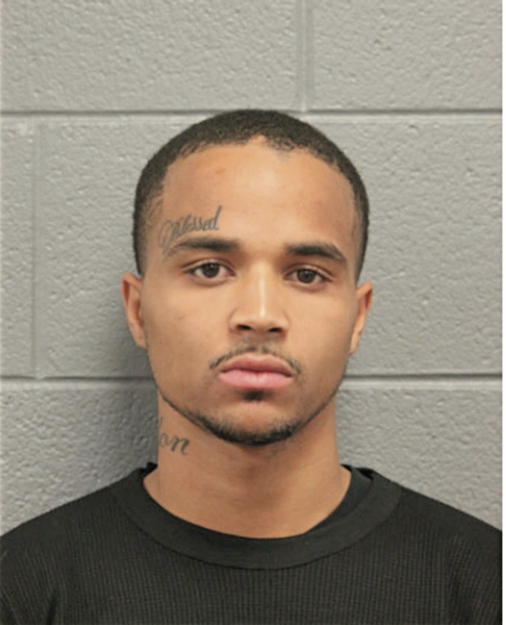 TERRELL D WYATT, Cook County, Illinois