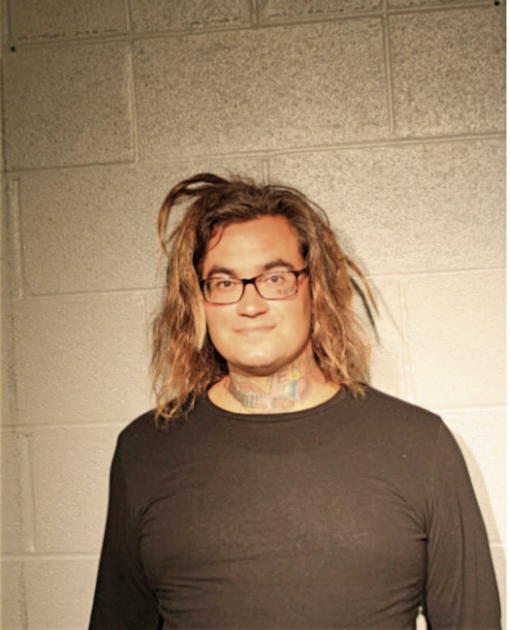 CHRISTOPHER R YOUNG, Cook County, Illinois