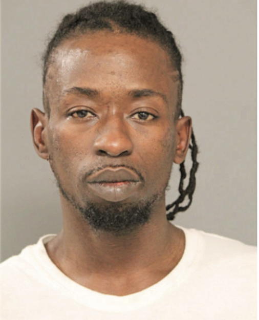DION D ANDERSON, Cook County, Illinois