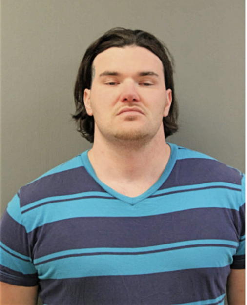 ADAM A AVIZIUS, Cook County, Illinois