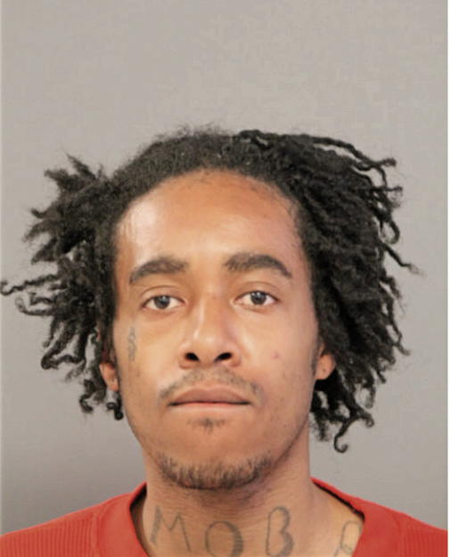 STEVEN A BROWN, Cook County, Illinois