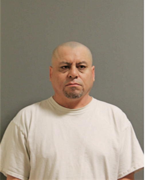 VIVANO CHAVEZ, Cook County, Illinois