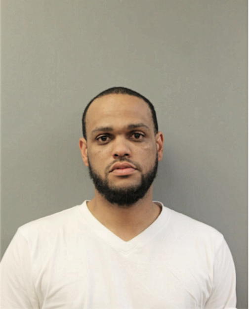 JAMES A DANIELS III, Cook County, Illinois