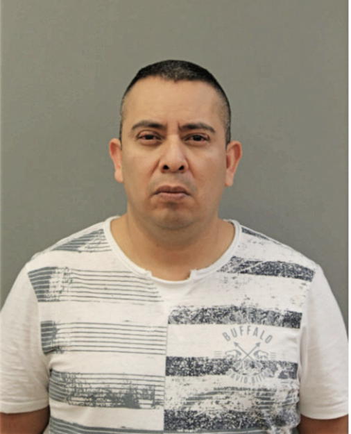 VICENTE ESTRADA, Cook County, Illinois