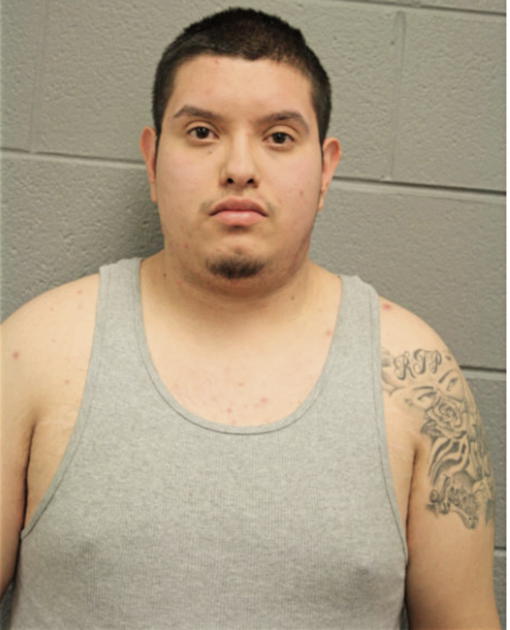 ARMANDO FLORES, Cook County, Illinois