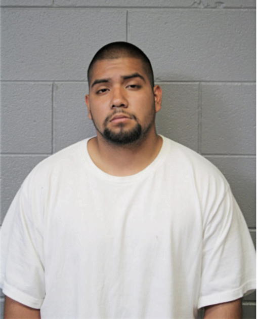 IRVING GARCIA, Cook County, Illinois