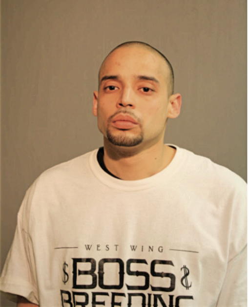 ANDRES M GONZALEZ, Cook County, Illinois